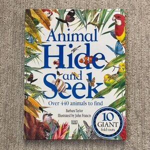 Animal Hide and Seek (Large Book)